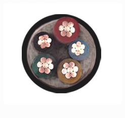 17235176171734.png image.png