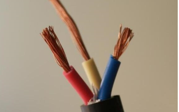 17285436263470.png image.png